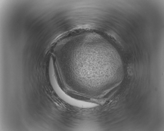 X0000066120968200603241606