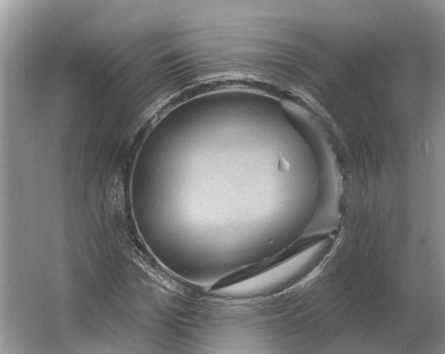 X0000066120969200603241606