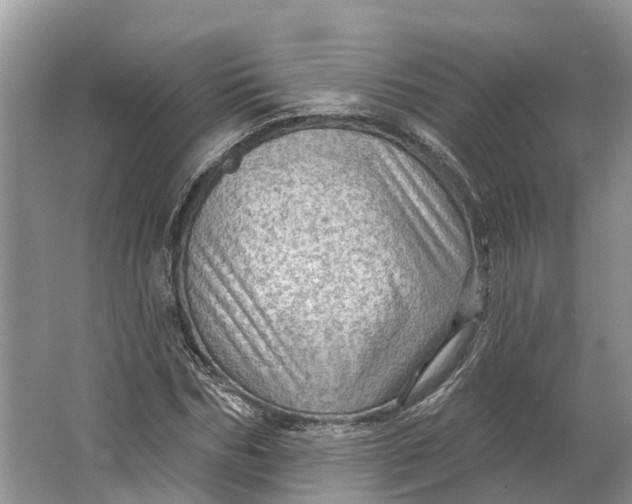 X0000066120970200603241606