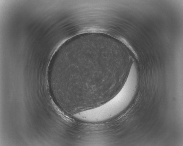 X0000066120972200603241606