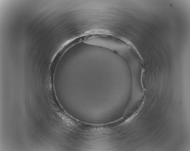 X0000066120973200603241606