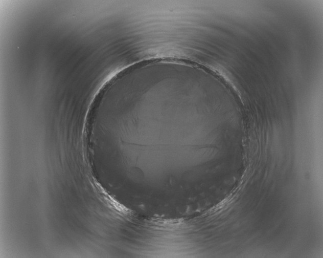 X0000066120975200603241606