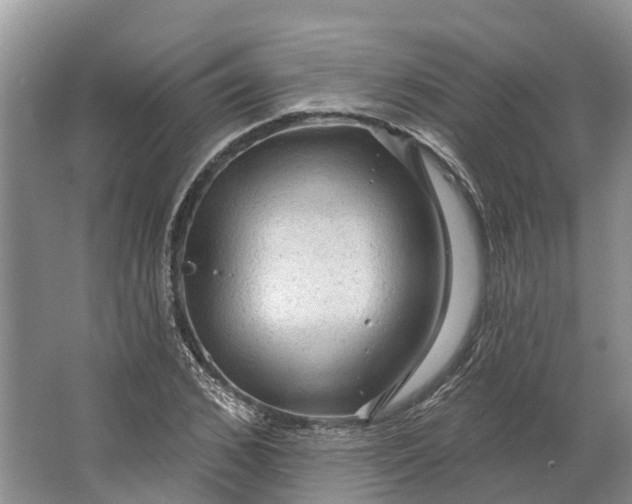 X0000066120976200603241606