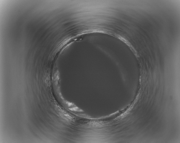 X0000066120977200603241606