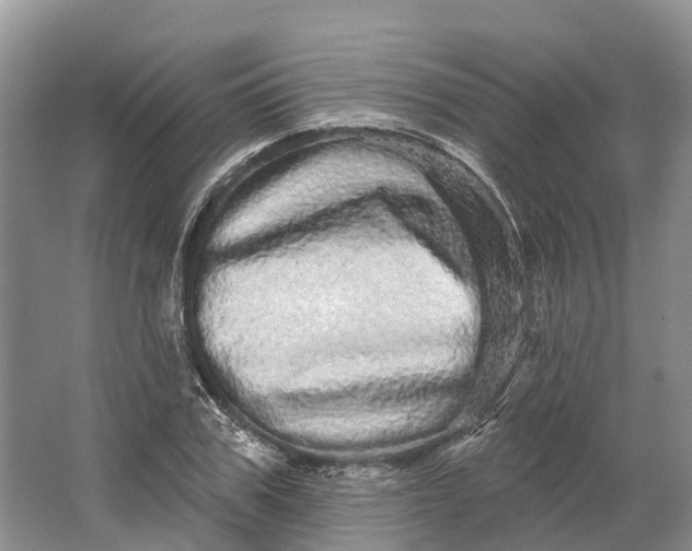 X0000066120979200603241606