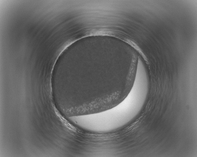 X0000066120980200603241605