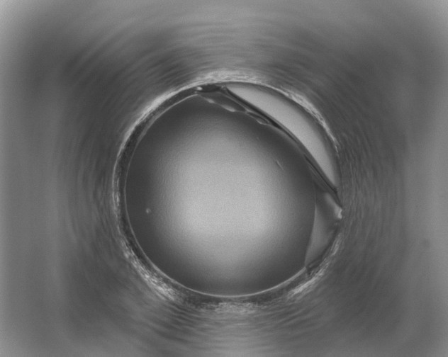 X0000066120981200603241605