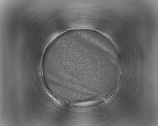 X0000066120982200603241605