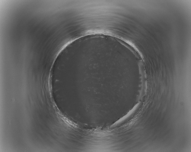 X0000066120983200603241605