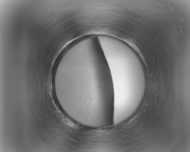 X0000066120984200603241605