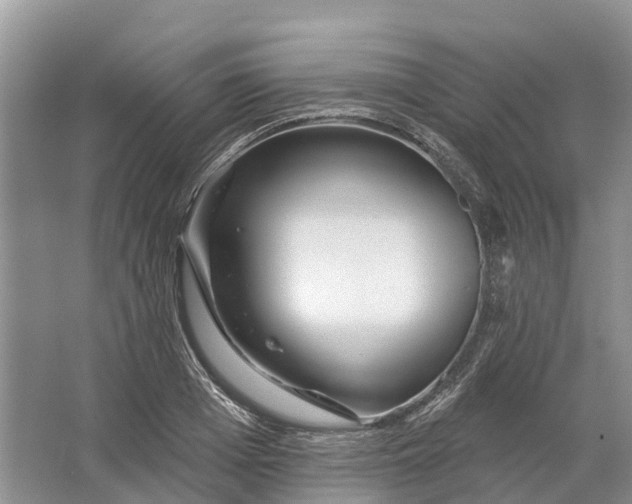 X0000066120985200603241605