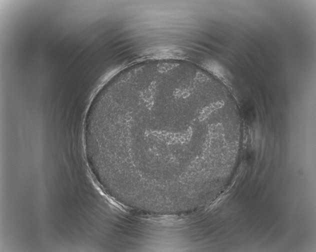 X0000066120986200603241605