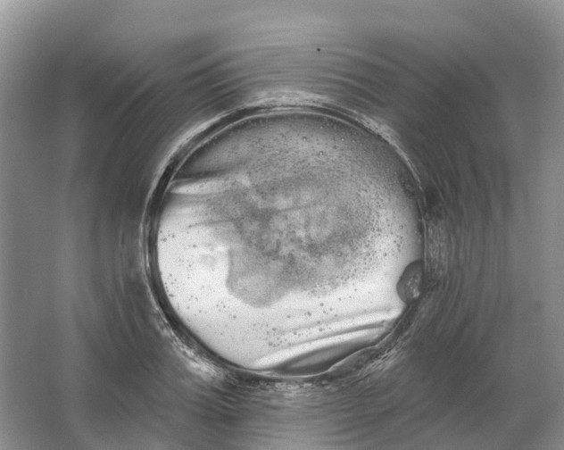 X0000066120987200603241605