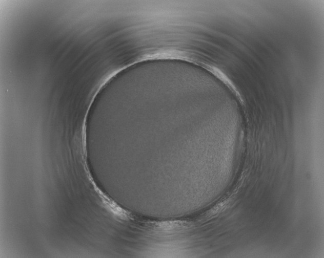 X0000066120988200603241605