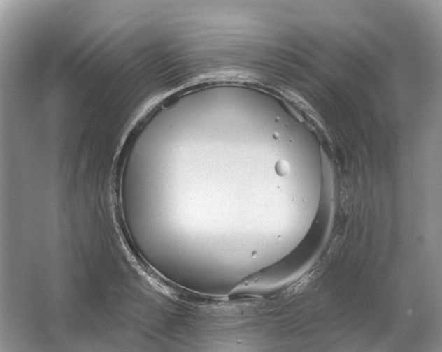 X0000066120989200603241605