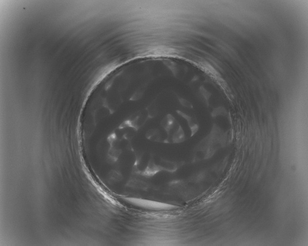 X0000066120990200603241605