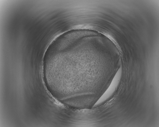 X0000066120992200603241605