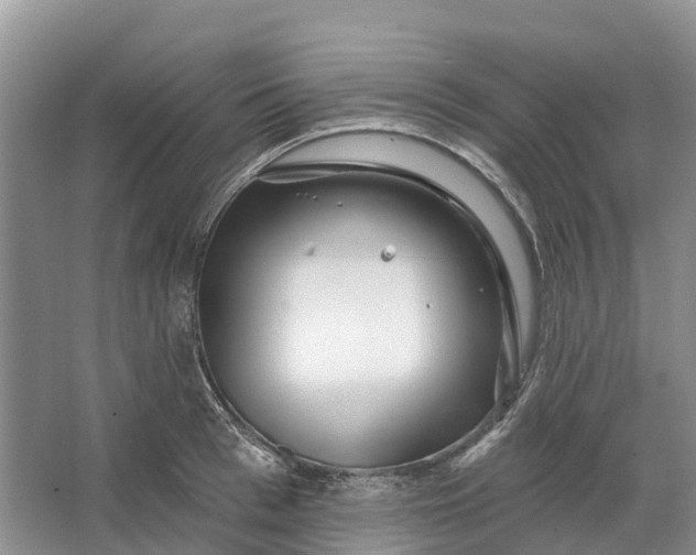 X0000066120993200603241605