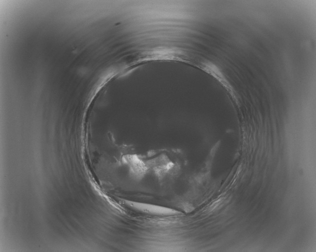 X0000066120994200603241605