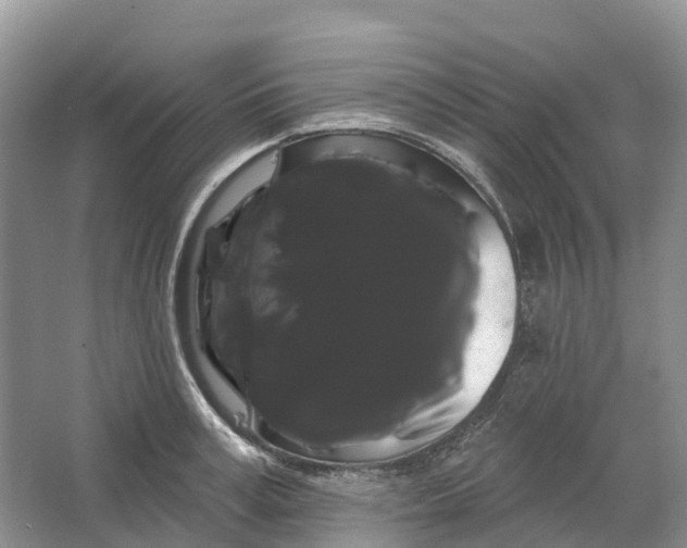 X0000066120995200603241605