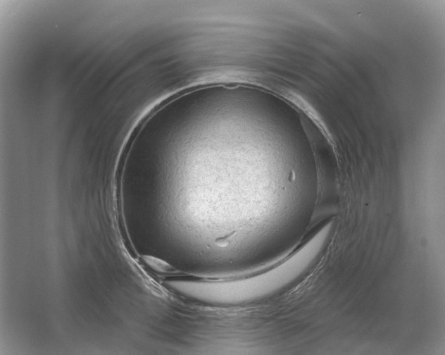 X0000066120996200603241605