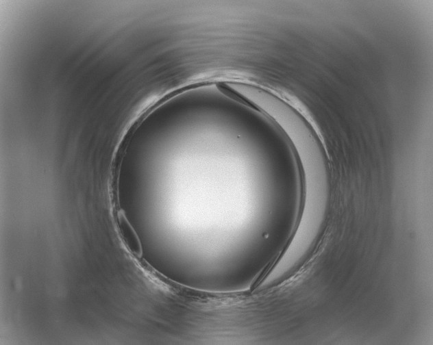 X0000066120997200603241605