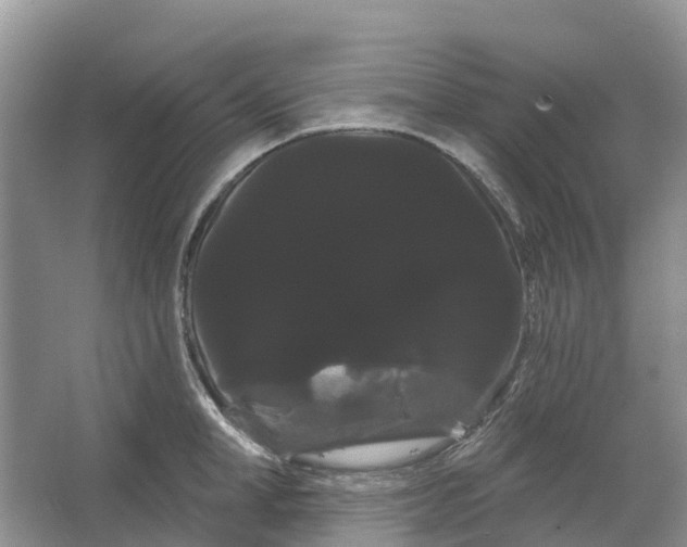 X0000066120998200603241605