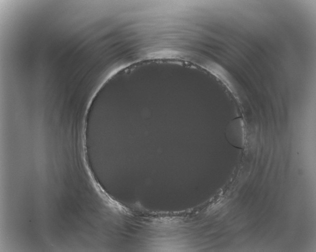 X0000066121000200603241605