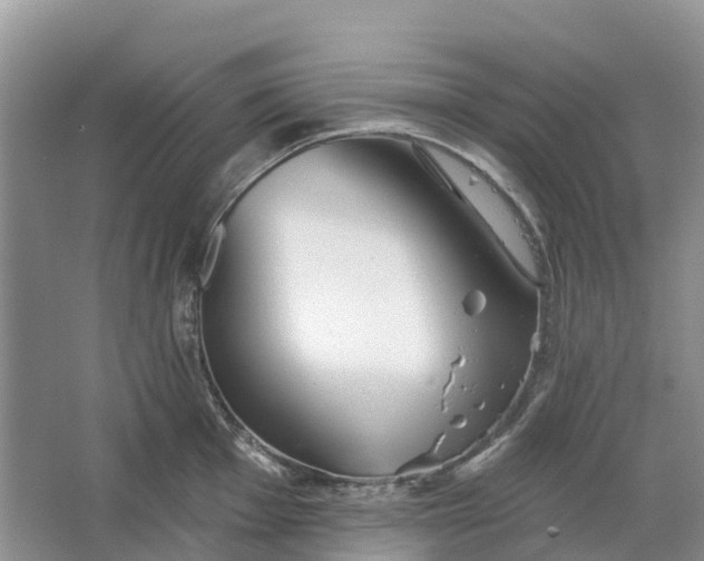 X0000066121001200603241605