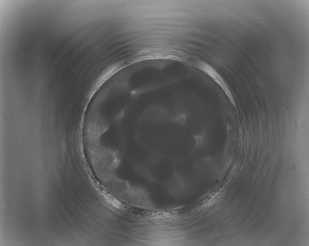 X0000066121002200603241605