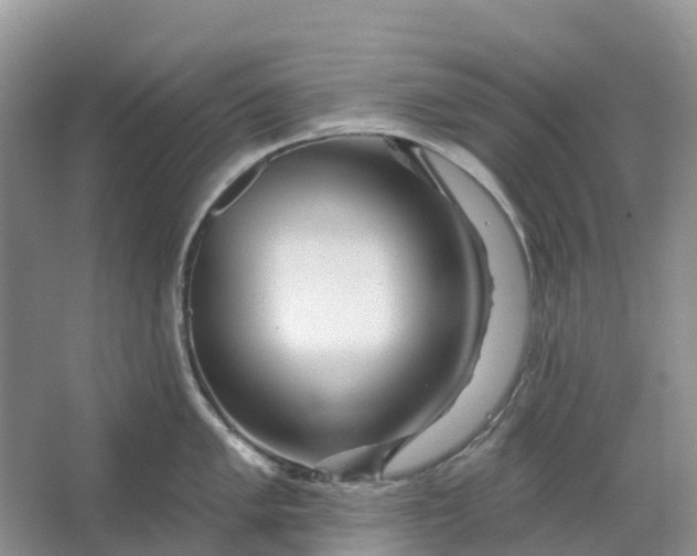 X0000066121005200603241605