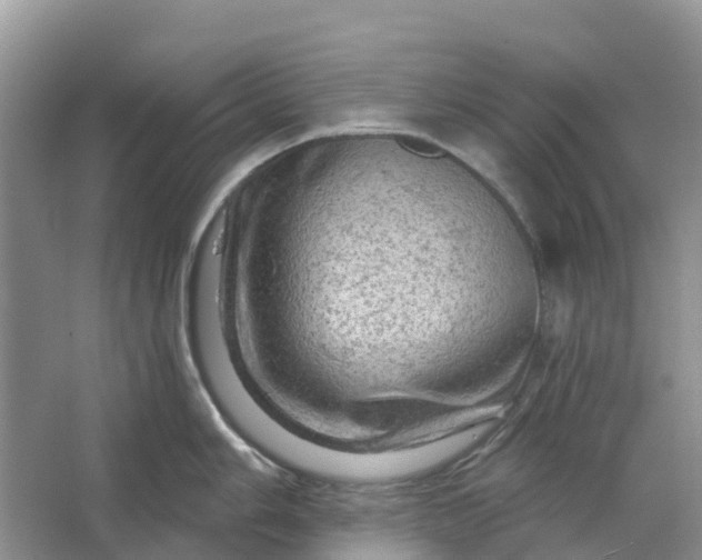 X0000066121006200603241605