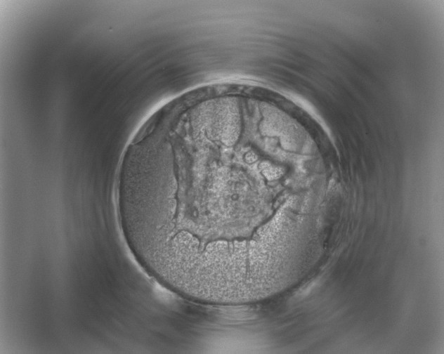 X0000066121007200603241605