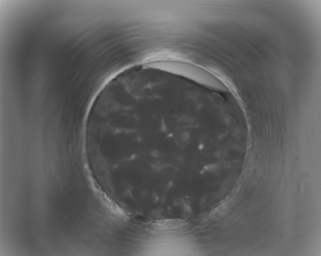 X0000066121008200603241605