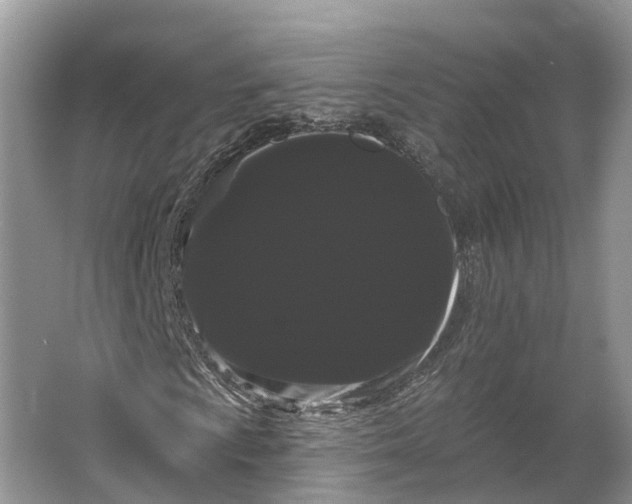 X0000066121009200603241604