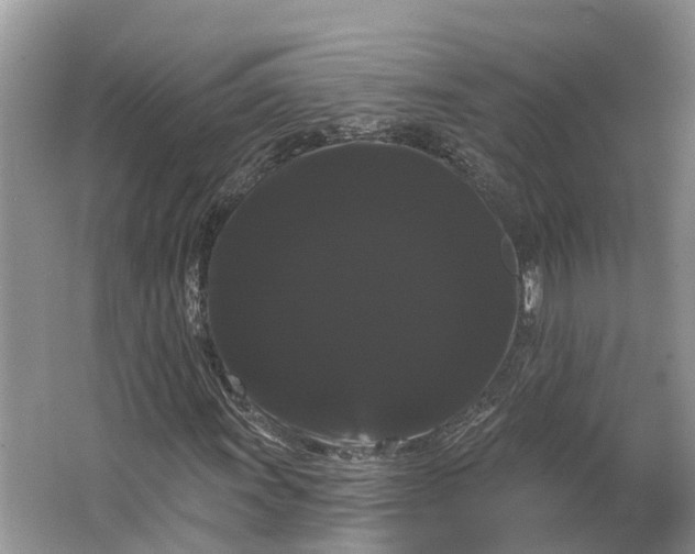 X0000066121011200603241604