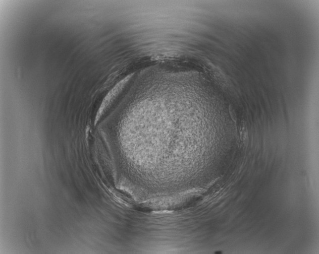 X0000066121012200603241604