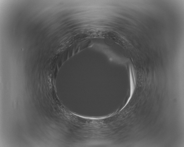 X0000066121013200603241604