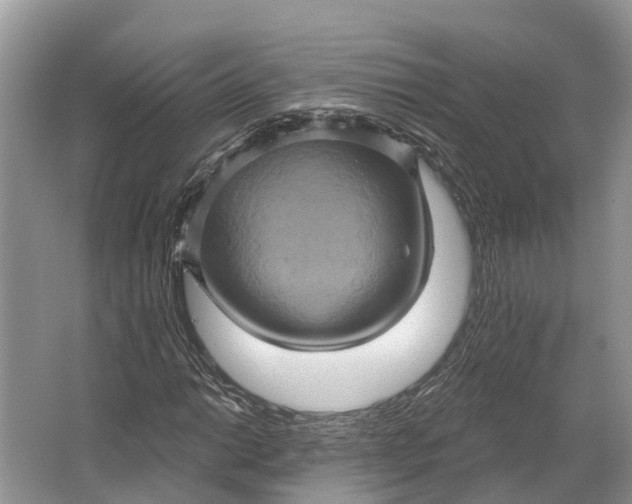 X0000066121014200603241604