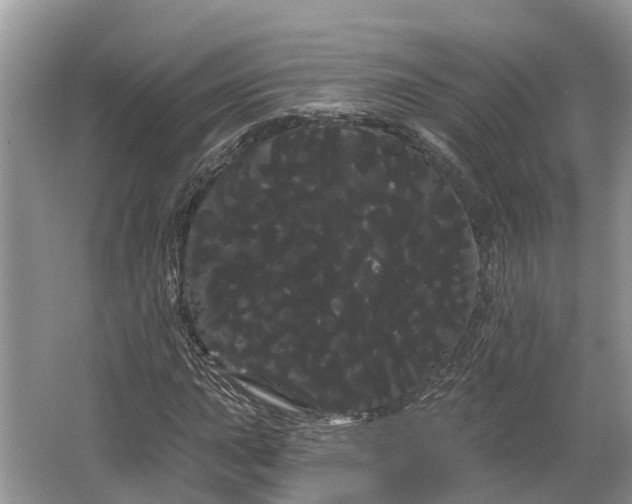 X0000066121015200603241604