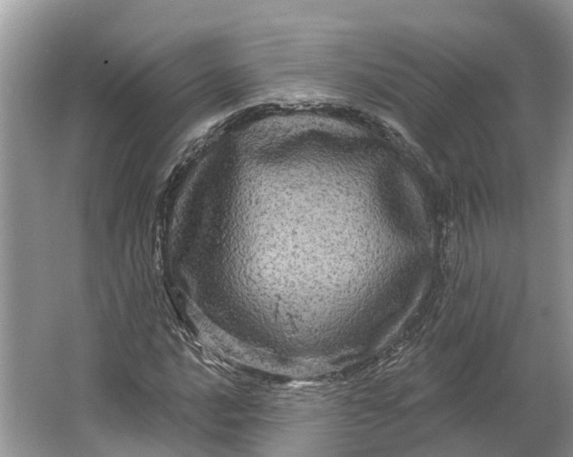 X0000066121016200603241604