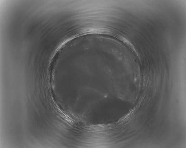 X0000066121019200603241604