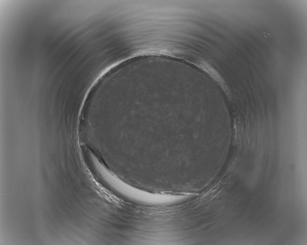 X0000066121020200603241604