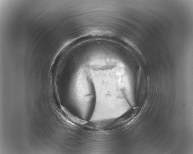 X0000066121021200603241604