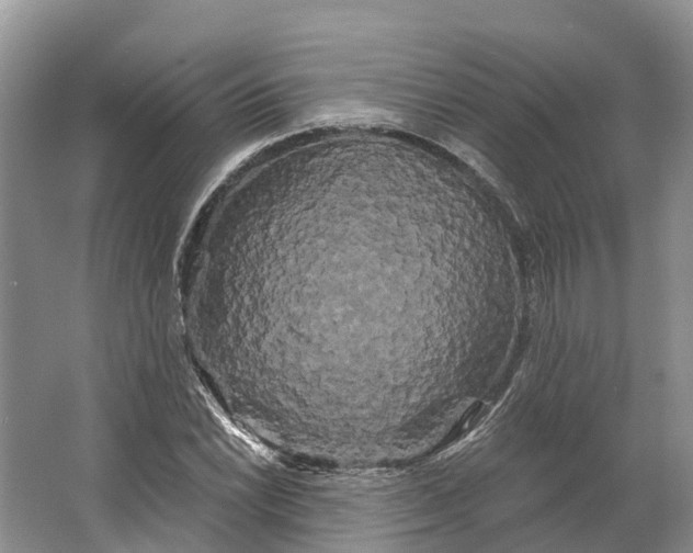 X0000066121022200603241604