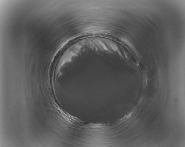 X0000066121023200603241604