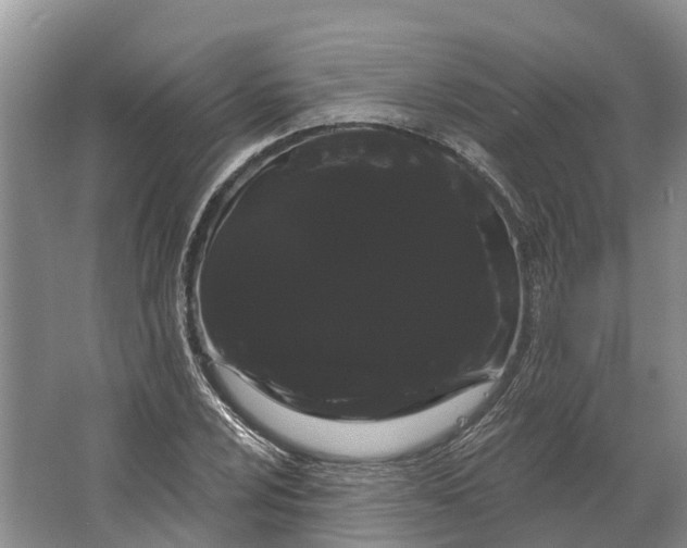 X0000066121024200603241604