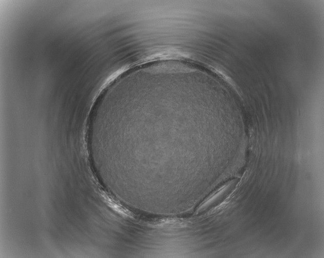 X0000066121026200603241604