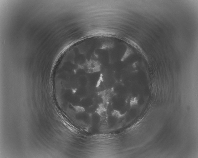 X0000066121027200603241605