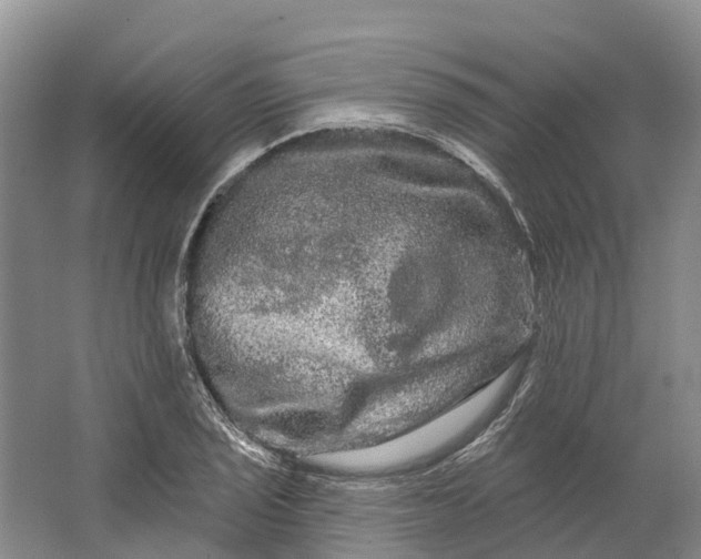 X0000066121029200603241605